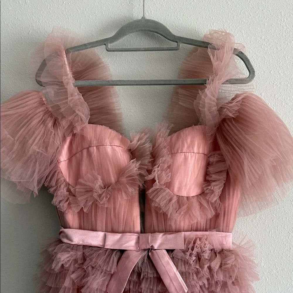 Pink Tulle Ruffle Dress - Picture 3 of 5